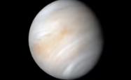 新研究称金星共轨小行星未来可能威胁到地球