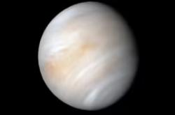 新研究称金星共轨小行星未来可能威胁到地球
