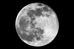 NASA准局长：要抢在中国前“重返月球”