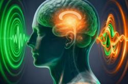 “植物人”是怎么醒的？中国科学院发现大脑“意识开关”