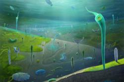 云南发现5.54亿年前化石 破解百年达尔文困惑