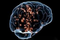 人类记忆的谜团：是平行宇宙还是大脑错乱？