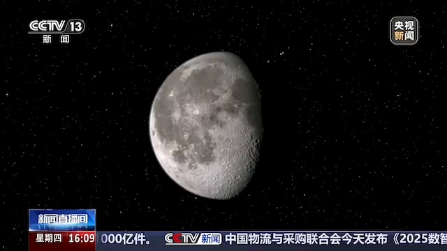 269e272c-80c9-45db-bbbc-662c7489f4e6.jpg